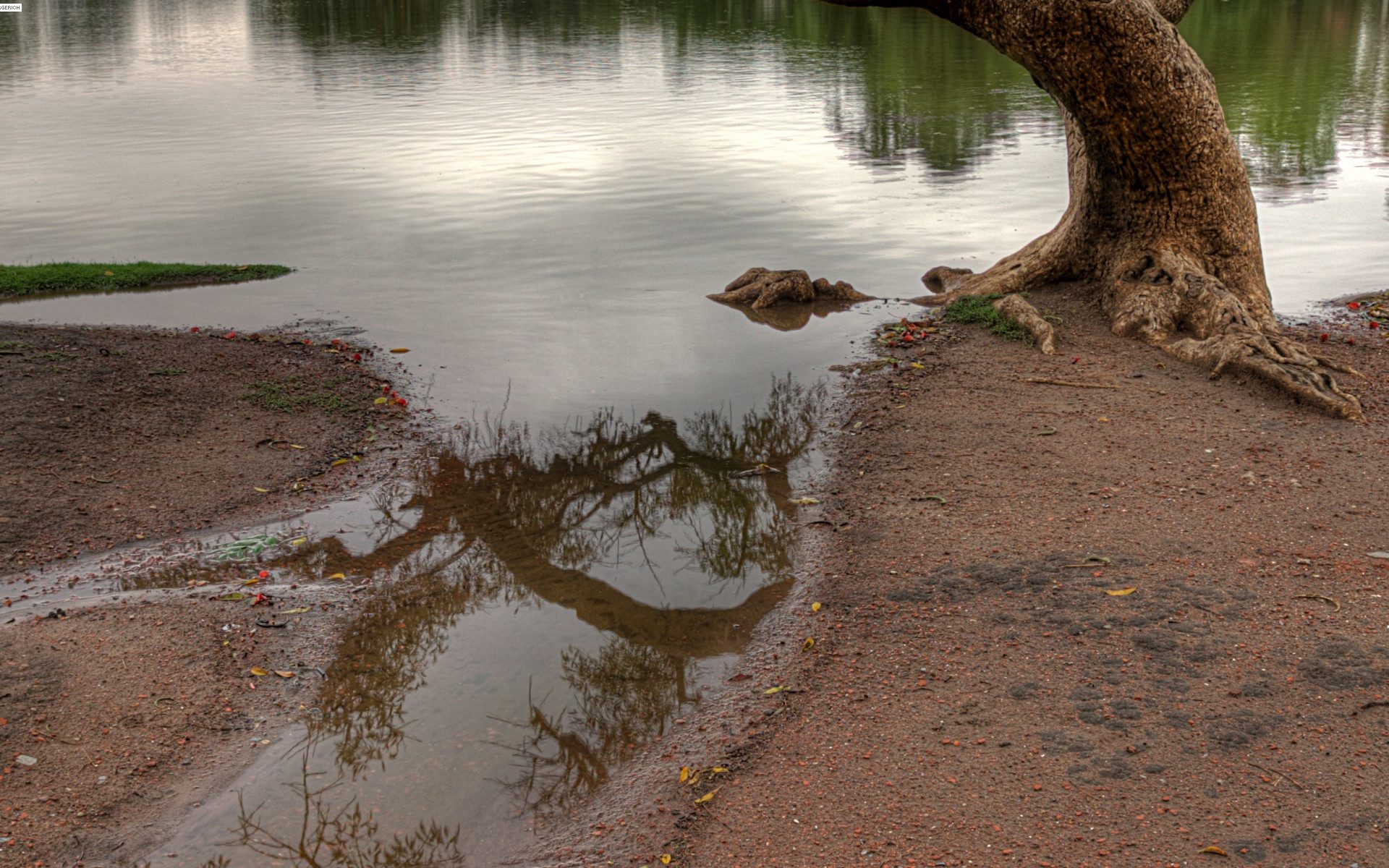 Image 33